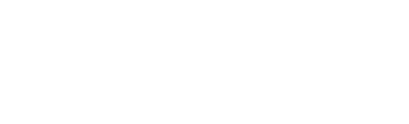 adeptaudio